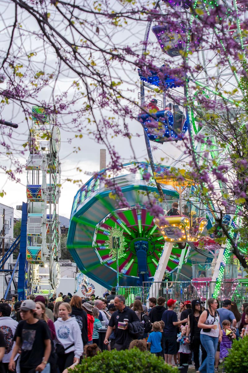 SCD Gallery_13 Crowded outdoor fair with people walking, colorful spinning ride, Ferris wheels, and tree branches with pink blossoms.
